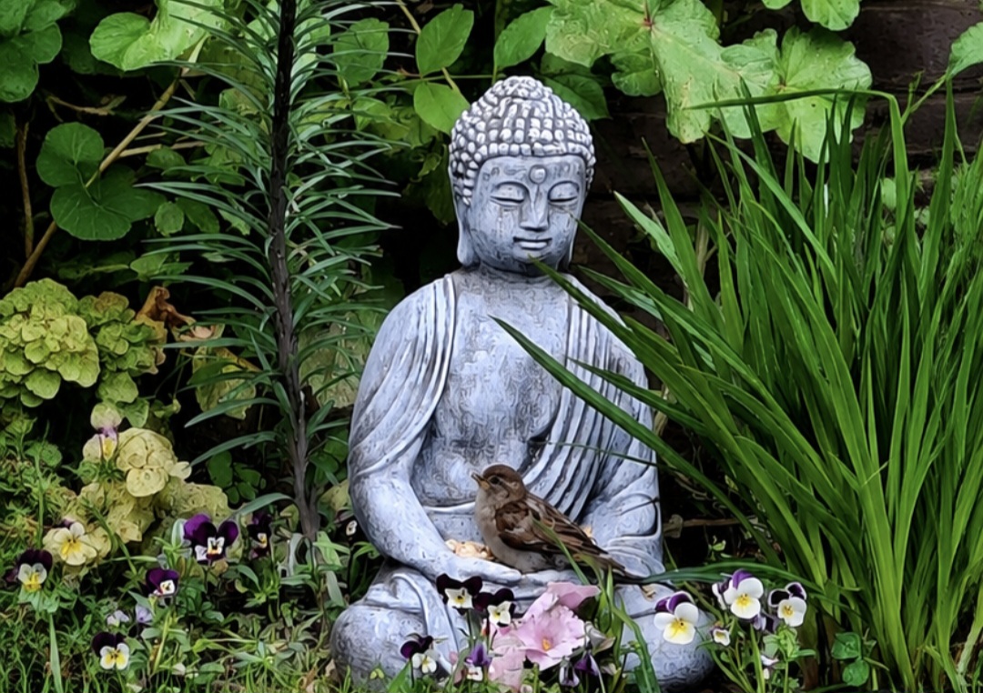Zen.nl, Zen, meditatie, leren mediteren, foto